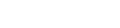 Intellect logo