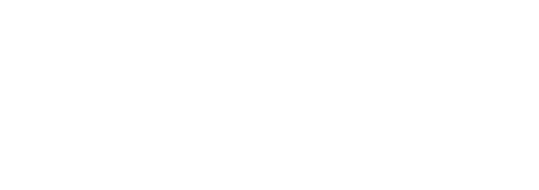 Natural Lights logo