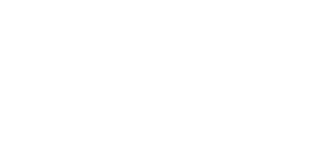 Zacharia Neumann logo