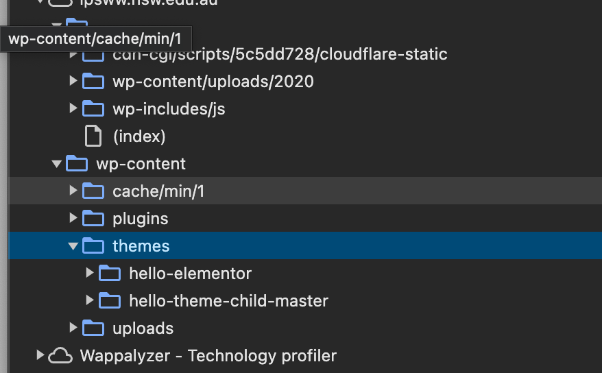 Browser dev tools showing the wp-content/themes folder of a WordPress site