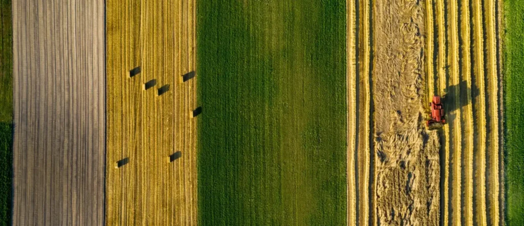 Fast reliable infratructure for regional Australian towns