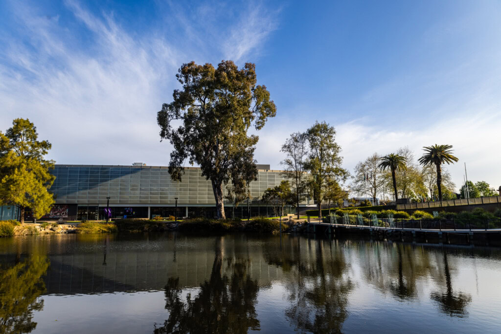 SEO Wagga Wagga
